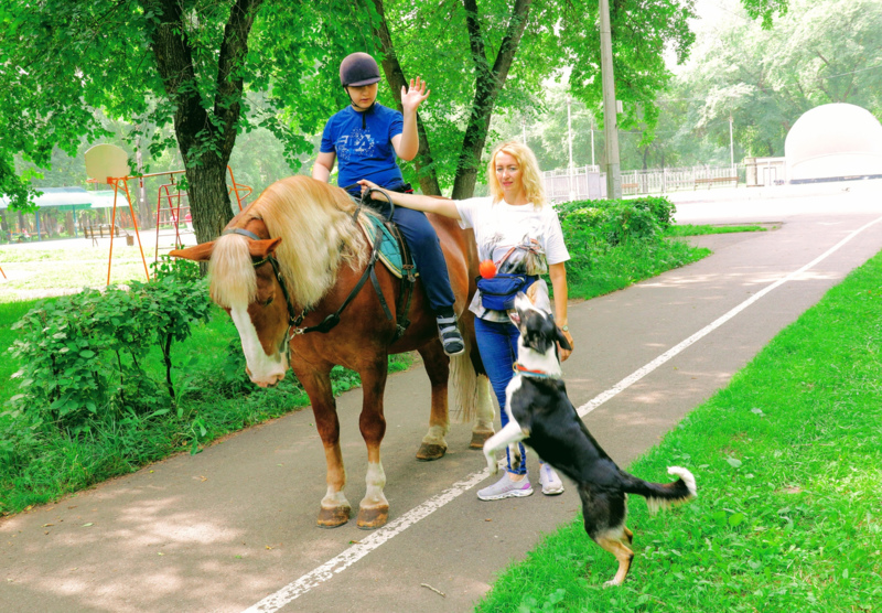 Фото - Лошадь, собаки и частичка любви: ЕВРАЗ ЗСМК помогает детям с ДЦП