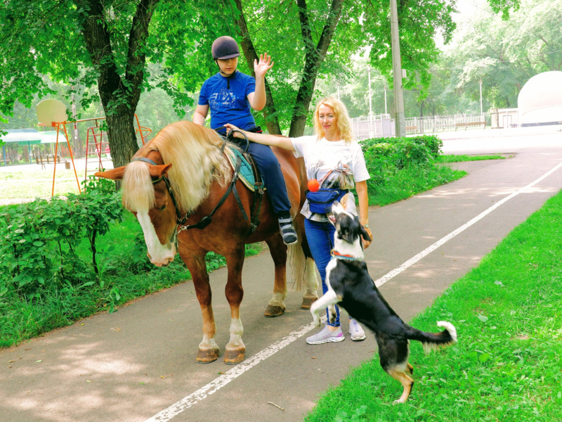 pic. Лошадь, собаки и частичка любви: ЕВРАЗ ЗСМК помогает детям с ДЦП