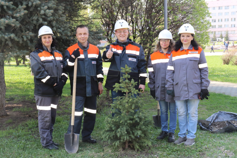 Фото - «Ощущается особая гордость»: сотрудники компании ЕВРАЗ высаживают сотни деревьев в Новокузнецке