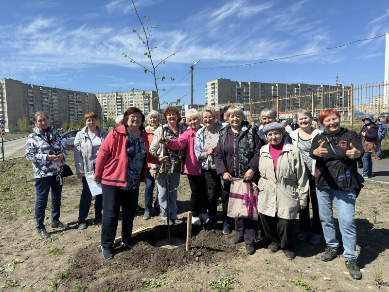 Фото - Сад памяти: при поддержке ЕВРАЗа ветераны и школьники Нижнего Тагила посадили молодые деревья