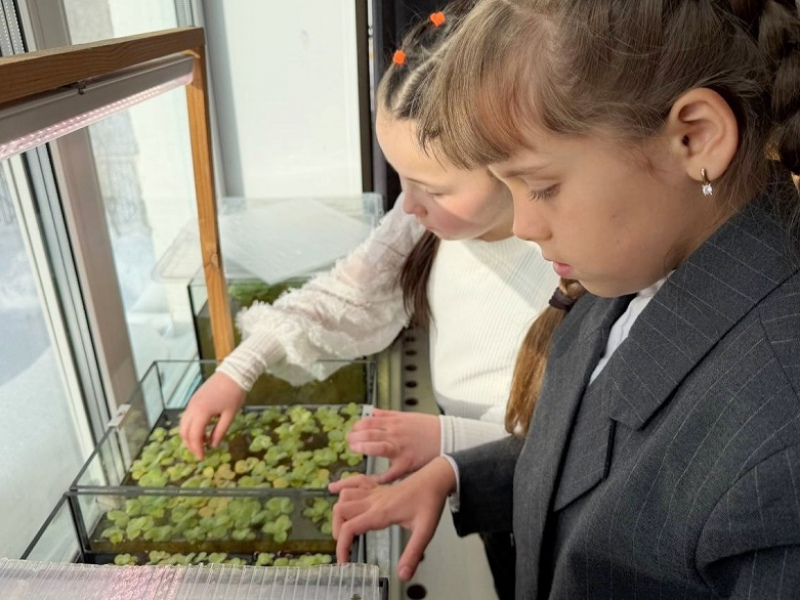 pic. Партнерство чистой воды: ЕВРАЗ и тагильские натуралисты объединились ради экологии