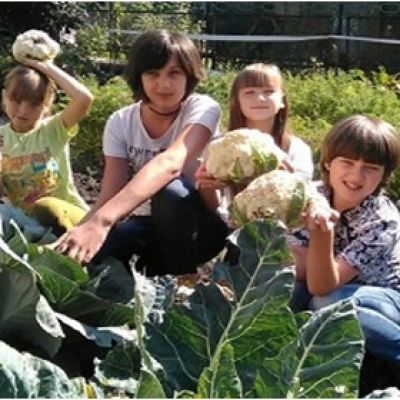 Научи меня жить здоровым