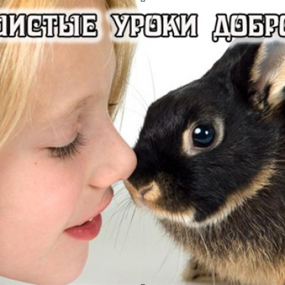Пушистые уроки доброты