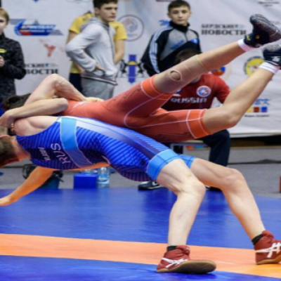 Фестиваль спортивной борьбы «Борьба как искусство»