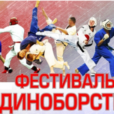 Фестиваль боевых искусств