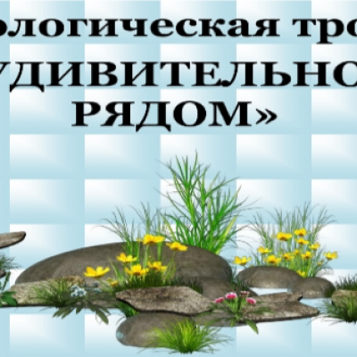 Экологическая тропа «Удивительное рядом»