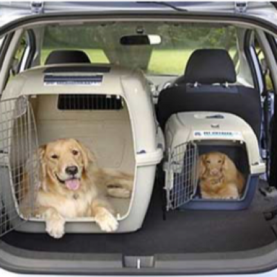 «Собака-мобиль»