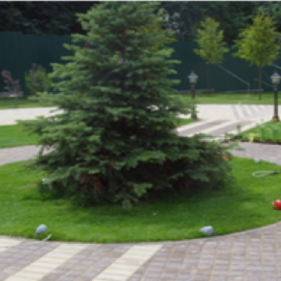 «Сквер «Уютный»