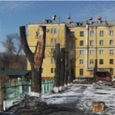 «Цветущая аллея»