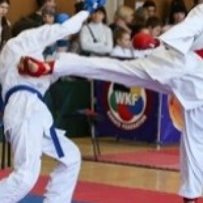 «Фестиваль единоборств»