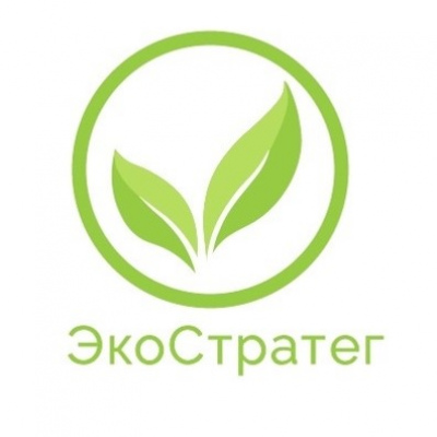 Городской экологический фестиваль «ЭкоСтратег»