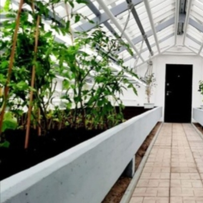 Школьная теплица