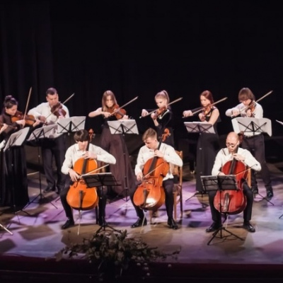 Блестящие смычки