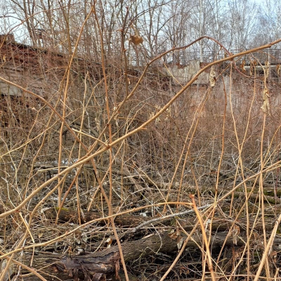 Сохраним прошлое ради будущего!