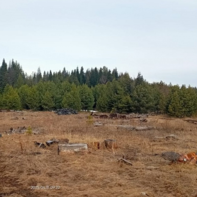 Страйкбольная объединение