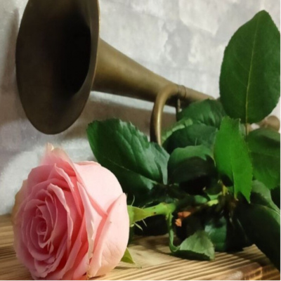 Бутон - проект, который раскроет тебя