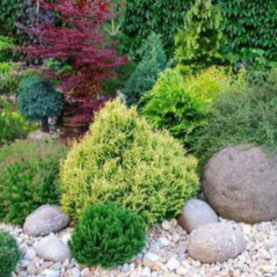 Мастерская ландшафтного дизайна 