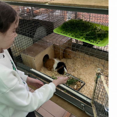 Модульный образовательный тренажер «Я - зоо/сити фермер»