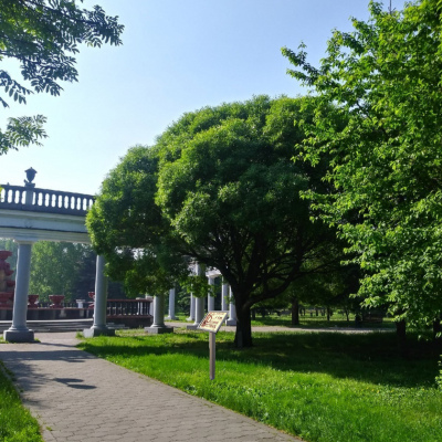 Муниципальное автономное учреждение культуры 