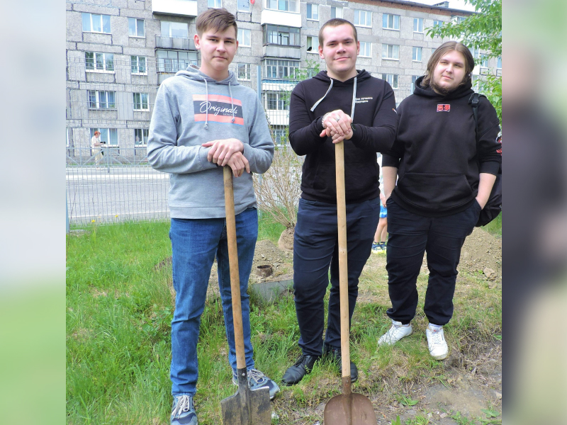 Фото - «Семейное дерево»: вновь Качканар надеется, что весь в листву оденется!
