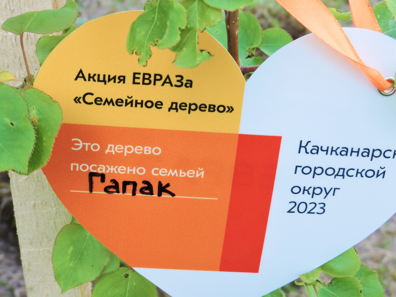 Фото - «Семейное дерево»: вновь Качканар надеется, что весь в листву оденется!