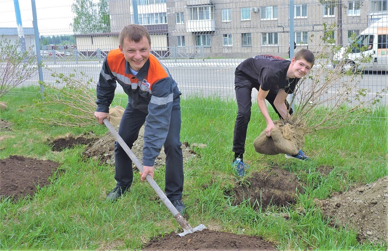 Фото - «Семейное дерево»: вновь Качканар надеется, что весь в листву оденется!