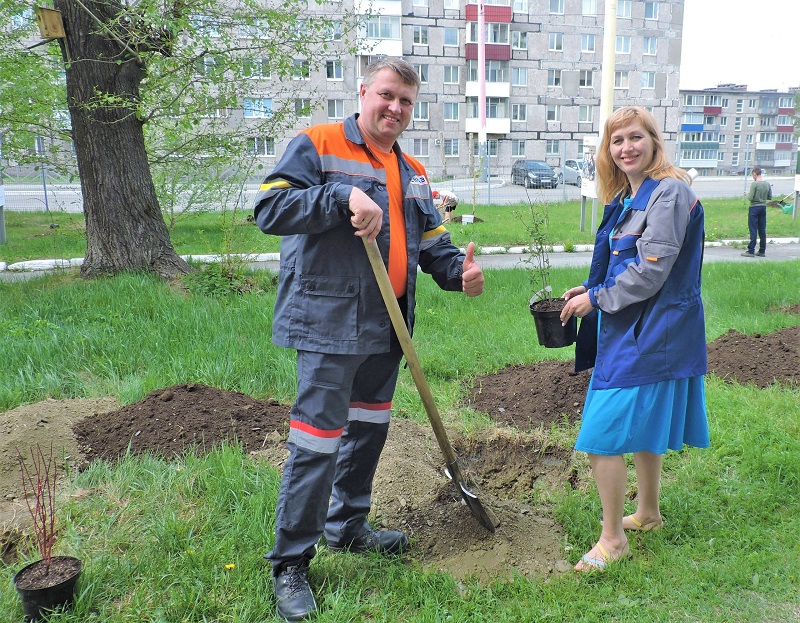 Фото - «Семейное дерево»: вновь Качканар надеется, что весь в листву оденется!