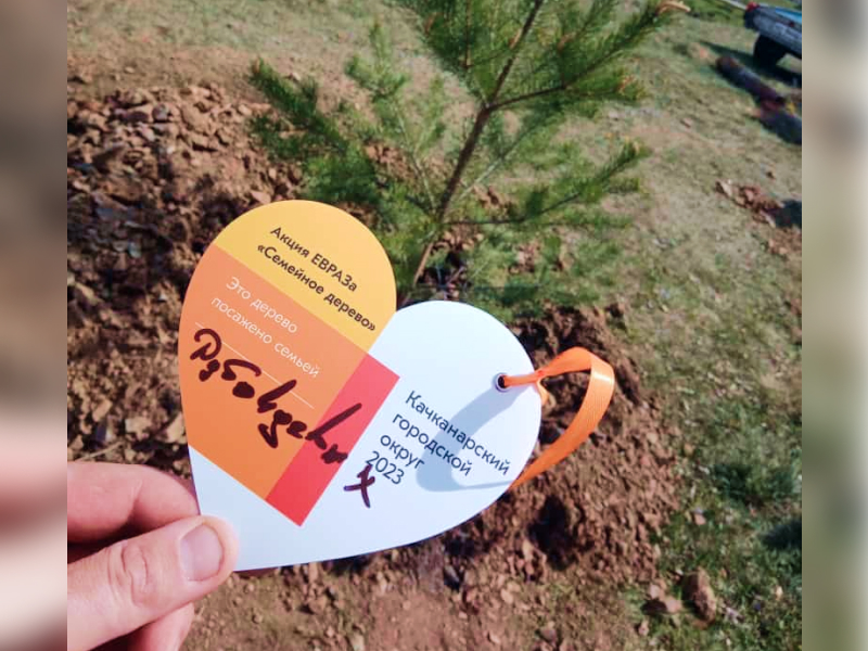 Фото - «Семейное дерево»: вновь Качканар надеется, что весь в листву оденется!