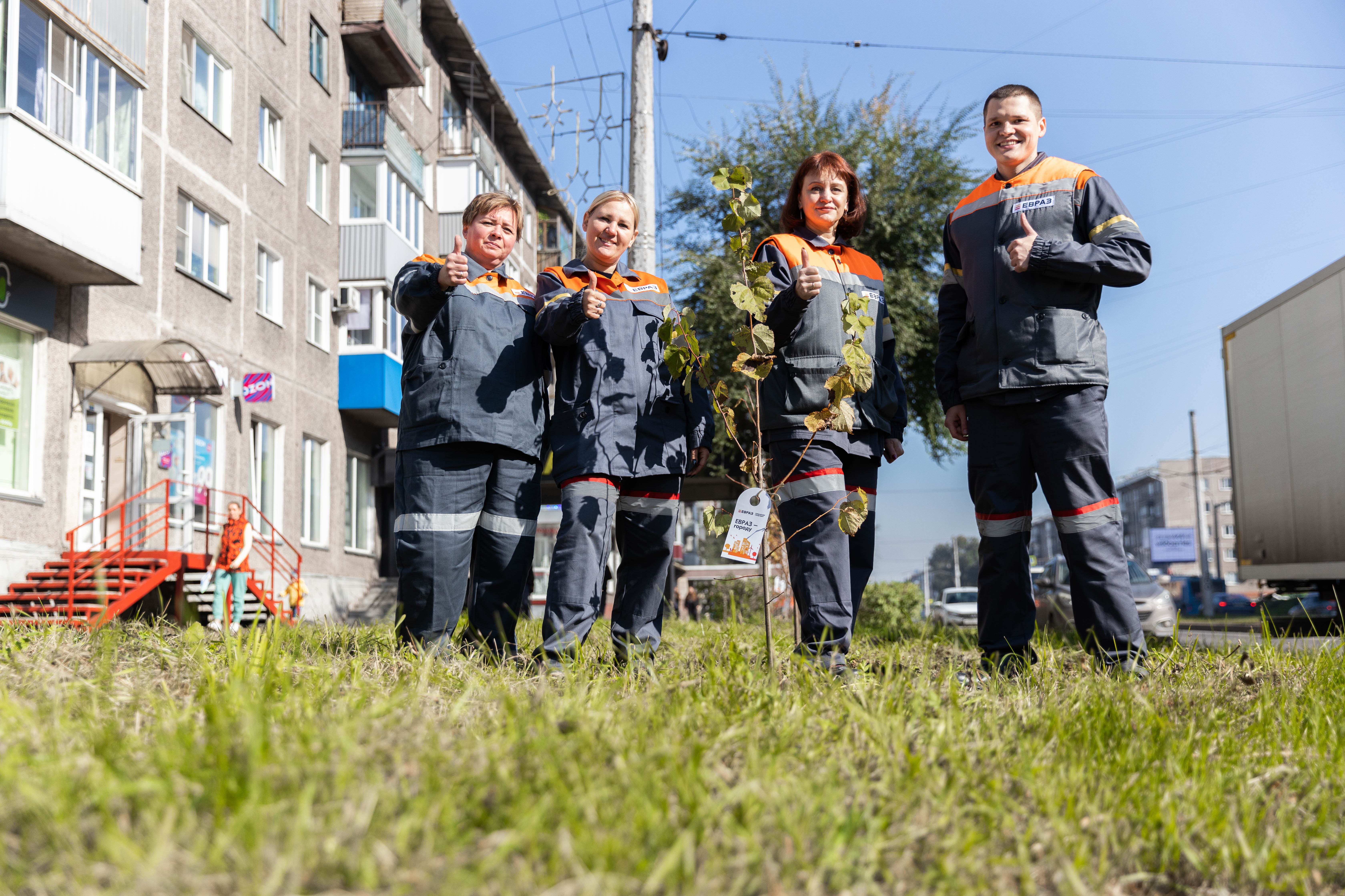 Фото - Молодые липы и сосны сибирские: металлурги ЕВРАЗ ЗСМК высадили две новые аллеи