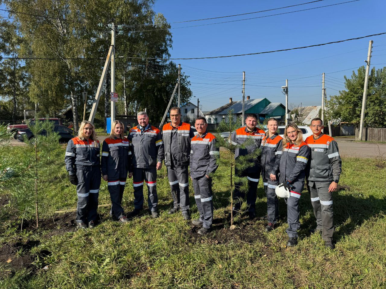 Фото - Молодые липы и сосны сибирские: металлурги ЕВРАЗ ЗСМК высадили две новые аллеи