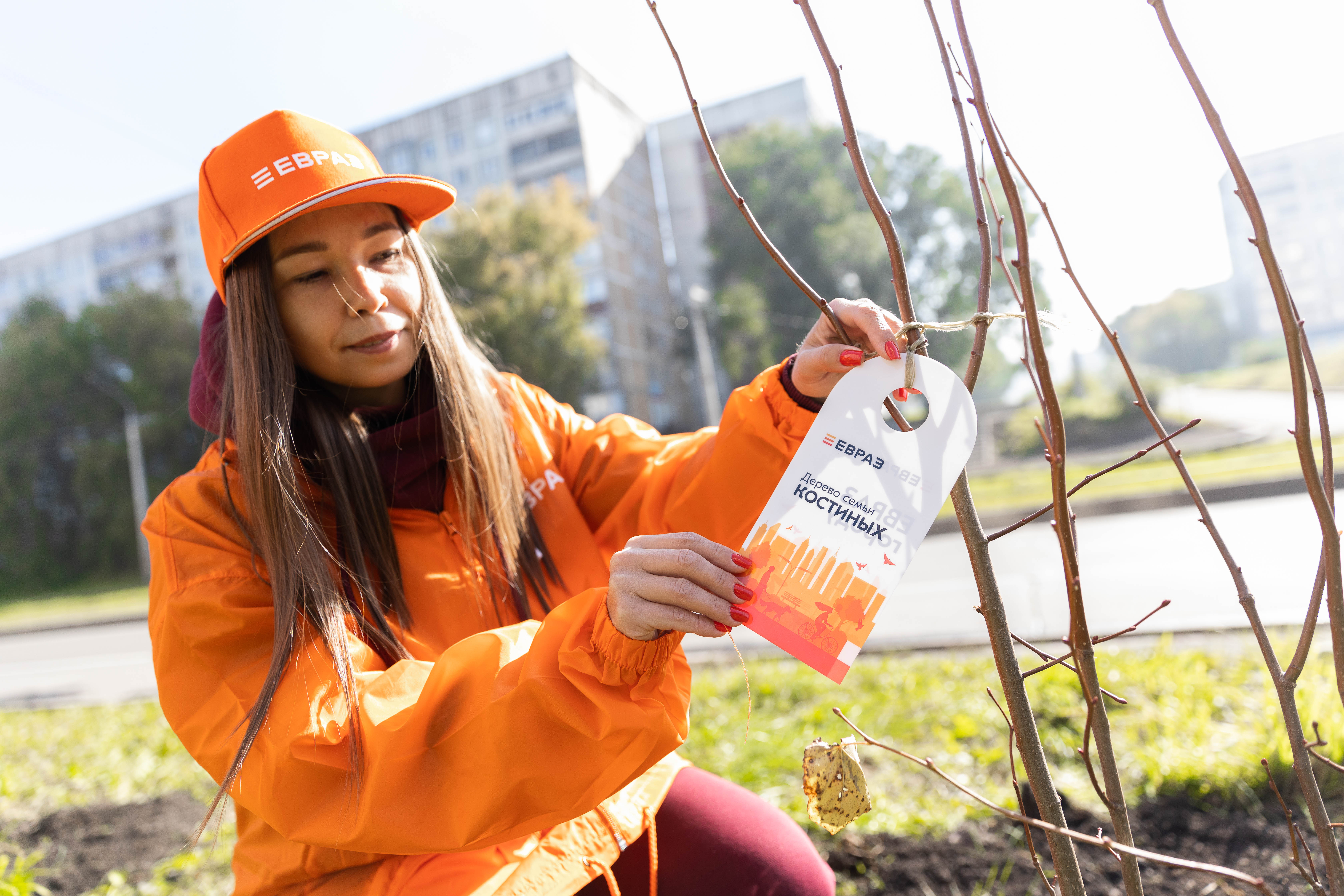 Фото - Молодые липы и сосны сибирские: металлурги ЕВРАЗ ЗСМК высадили две новые аллеи