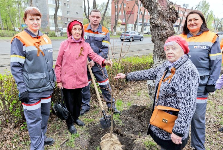 Фото - Сотрудники ЕВРАЗ ЗСМК к юбилею Великой Победы высадили липы