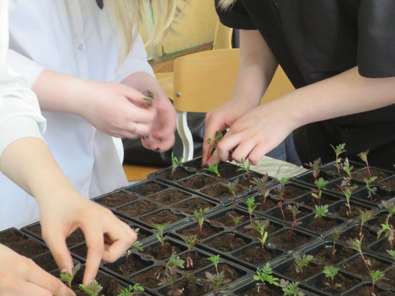 Фото - Красиво и ярко: Качканар похорошел благодаря конкурсу ЕВРАЗа