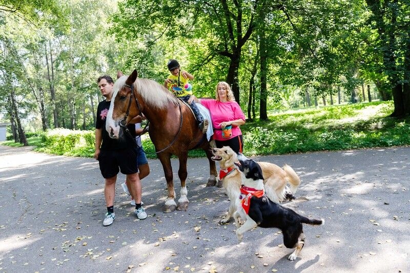 Фото - В Сибири реализуется программа по иппотерапии для детей